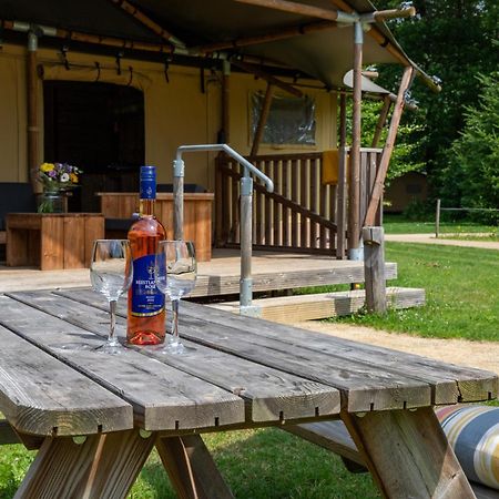 Buitenplaats Gerner Dalfsen Bagian luar foto
