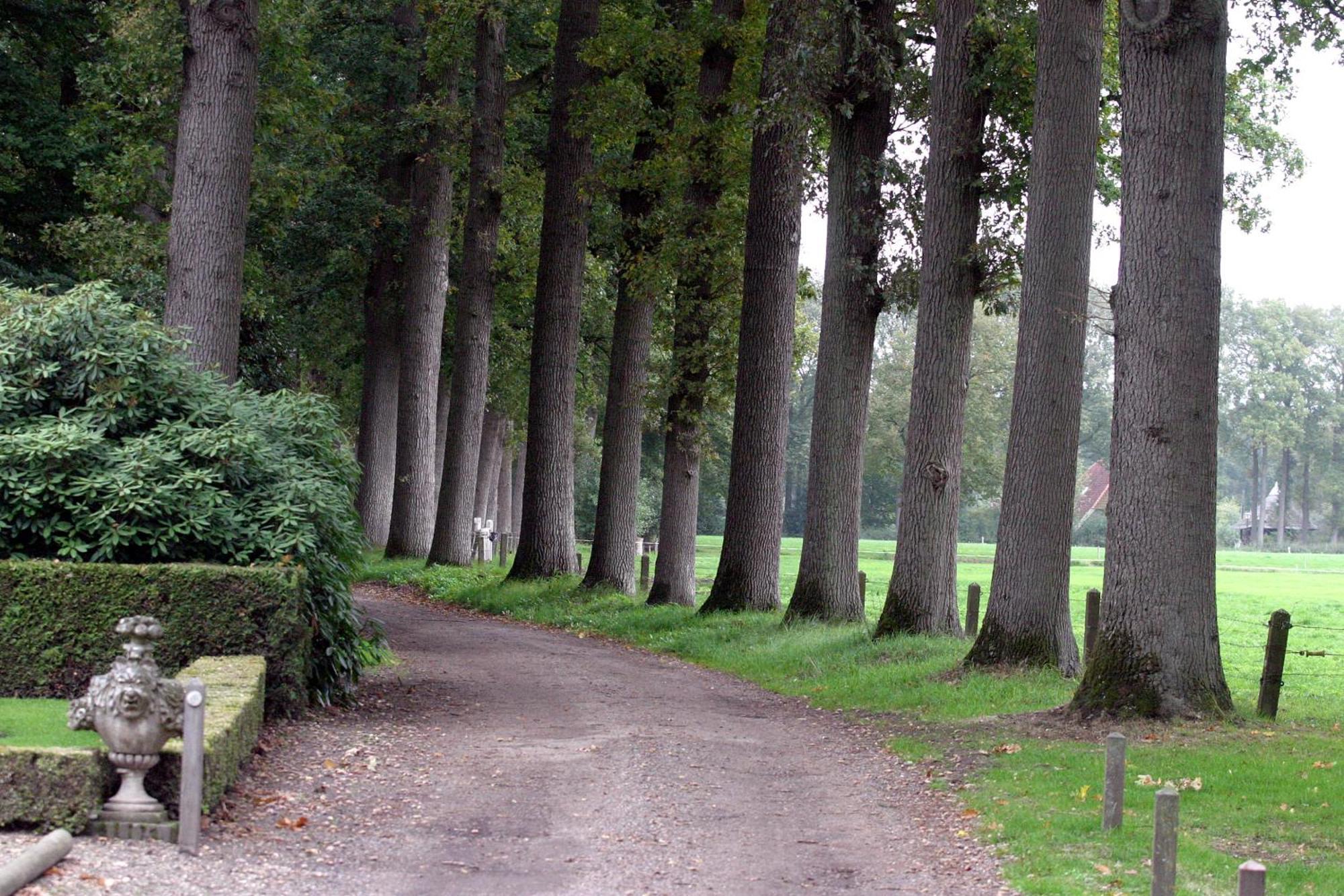 Buitenplaats Gerner Dalfsen Bagian luar foto