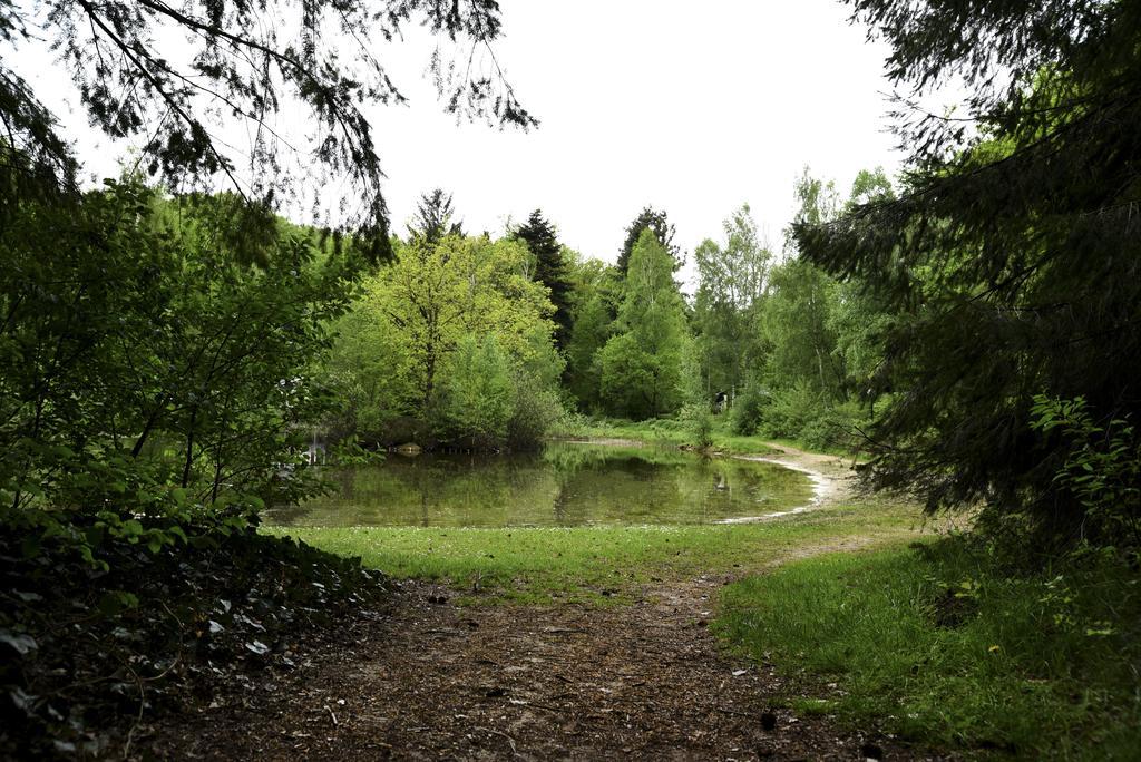 Buitenplaats Gerner Dalfsen Bagian luar foto