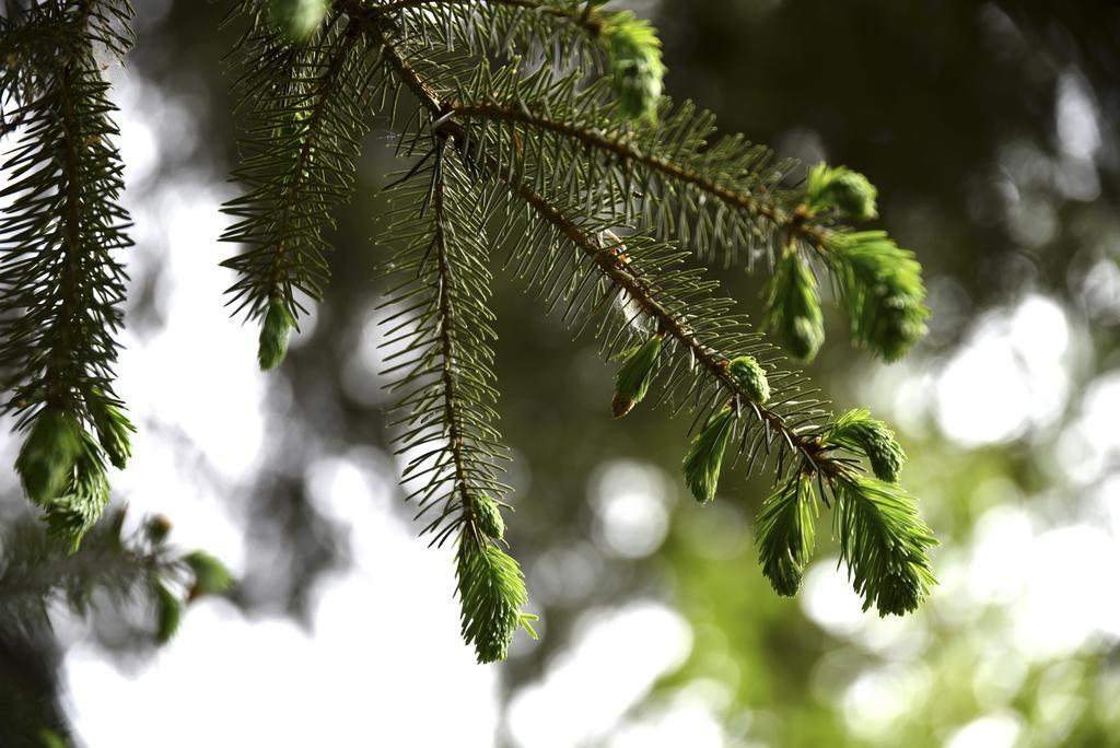 Buitenplaats Gerner Dalfsen Bagian luar foto